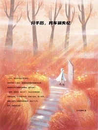 分手后，我车祸失忆免费阅读全文，主角姜苑陆晨小说完整版